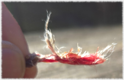 Fleischzellenstruktur