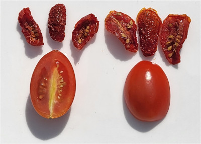 Cocktailtomate